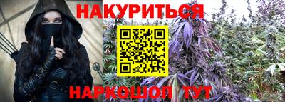 a pvp Гатчина