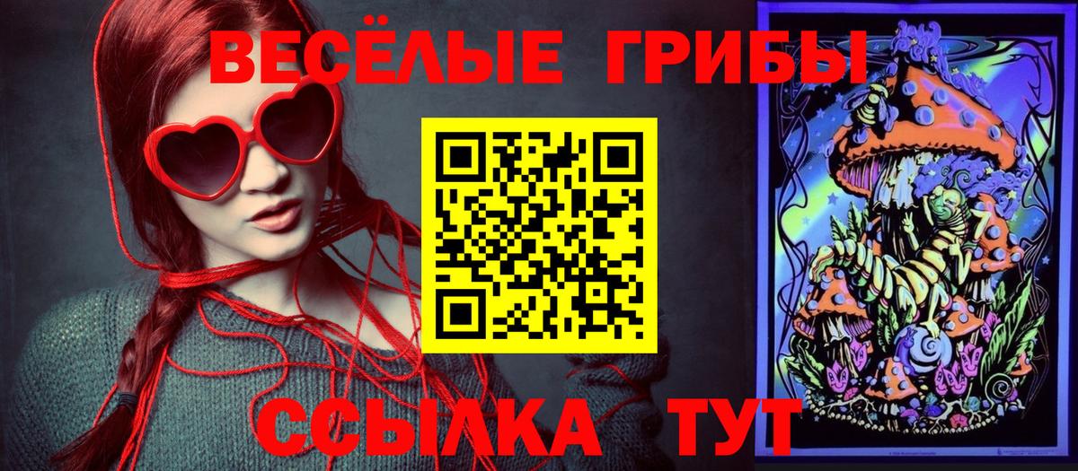 Псилоцибиновые грибы Psilocybine cubensis Тольятти