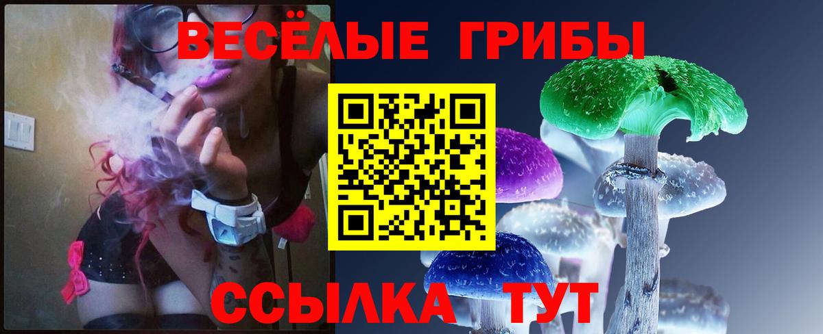 Тольятти  Псилоцибиновые грибы GOLDEN TEACHER  Вход с VPN 